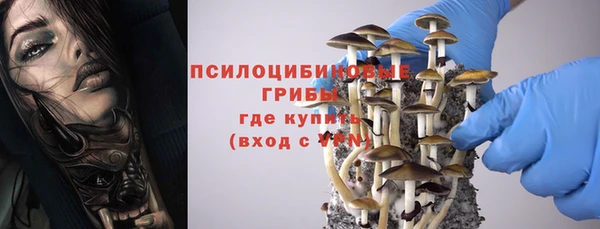 эйфоретик Аркадак
