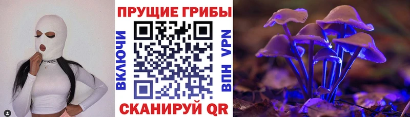 OMG зеркало  Свирск  Галлюциногенные грибы Magic Shrooms 